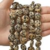 Natural Dalmatian Jasper Beads Strands G-L648-B19-15mm-2