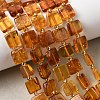 Natural Amber Beads Strands G-C260-A01-06-1