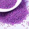 MIYUKI Delica Beads X-SEED-J020-DB2049-1