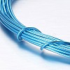Round Aluminum Craft Wire AW-D009-1mm-10m-16-2