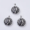 Natural Dyed & Heated Black Agate Pendants G-K234-E02-1