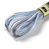 10 Skeins 6-Ply Polyester Embroidery Floss OCOR-K006-A57-2