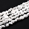 Natural Howlite Beads Strands G-G018-49-1