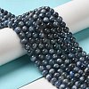 Natural Kyanite/Cyanite/Disthene Round Beads Strands G-O017-6mm-04C-5
