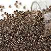 TOHO Round Seed Beads SEED-TR11-0221-1