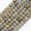 Natural Labradorite Beads Strands G-P322-33-6mm-1