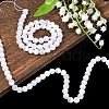 Natural Selenite Beads Strands G-N328-025B-02-6