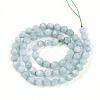 Natural Myanmar Jade/Burmese Jade Beads Strands G-T108-27A-01-3