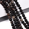Natural Biotite Beads Strands G-Q616-01B-1