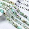 Natural Chrysoprase Beads Strands X-G-S376-013-4