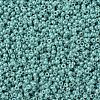 MIYUKI Round Rocailles Beads X-SEED-G007-RR0481-2