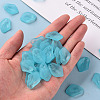 Transparent Frosted Acrylic Pendants MACR-S371-03A-755-5