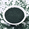 MIYUKI Round Rocailles Beads SEED-G007-RR0156F-2