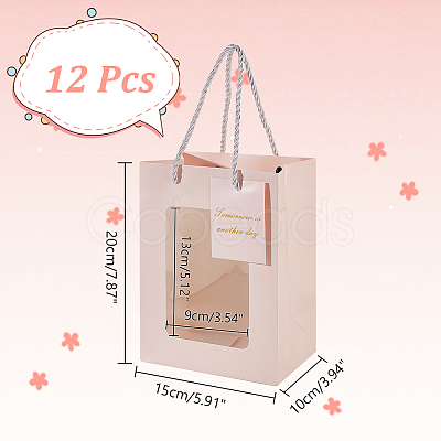 Paper Gift Storage Bags with Handle CARB-WH0017-11A-1