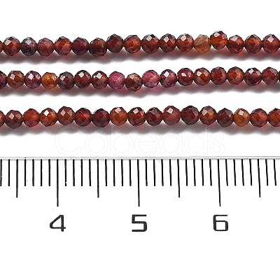 Natural Garnet Beads Strands G-H079-A01-01A-1