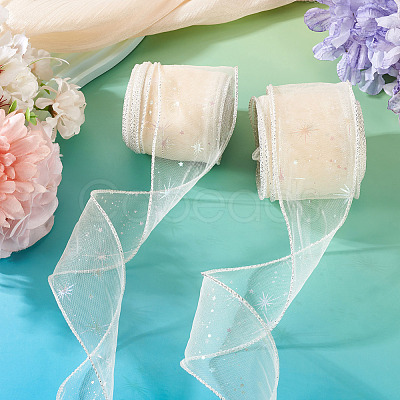 Polyester Deco Mesh Ribbons OCOR-TAC0024-004F-1