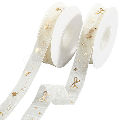 2 Rolls 2 Styles Chiffon Lace Trim for Sewing Decoration OCOR-CY0001-65A-1