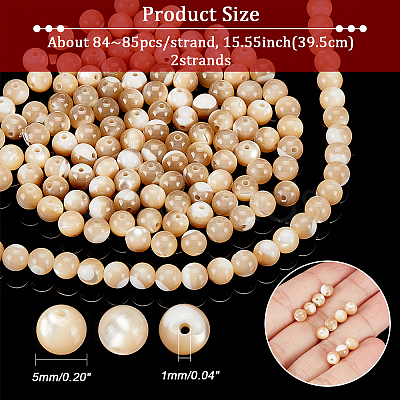 Nbeads Natural Trochid Shell/Trochus Shell Beads Strands SSHEL-NB0001-34-1