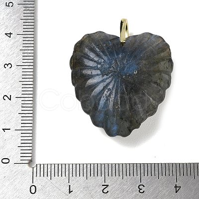 Natural Labradorite Carved Pendants G-C276-01G-10-1