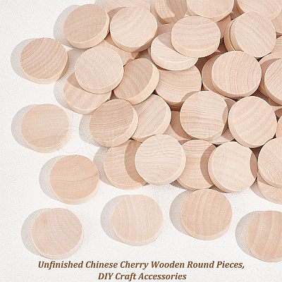 Unfinished Schima Wooden Round Pieces LS-WOOD-WH0027-73-1