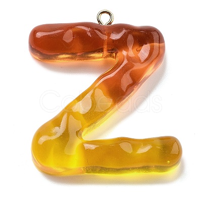 Resin Pendant FIND-Q107-01Z-01-1