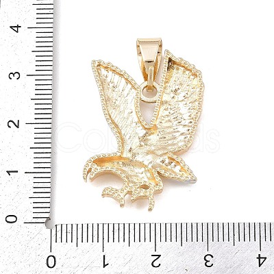 Brass Pendants KK-K409-01PG-1
