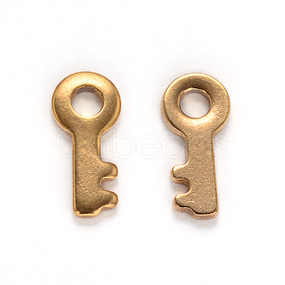 Ion Plating(IP) 304 Stainless Steel Key Charms STAS-M238-04-1