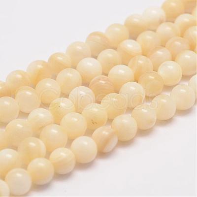 Natural Shell Bead Strands G-K153-B47-6mm-1