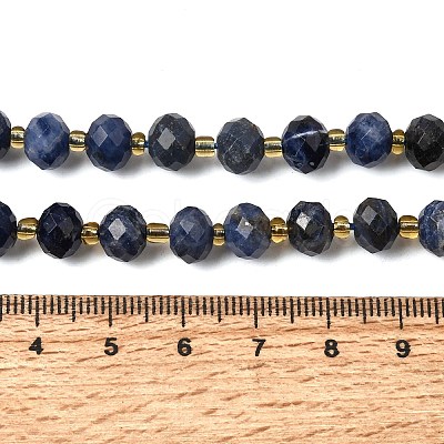 Natural Sodalite Beads Strands G-D105-B09-01-1