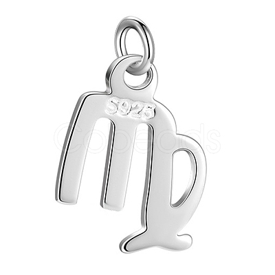 925 Sterling Silver Twelve Constellations Charms STER-WH0005-19S-08-1