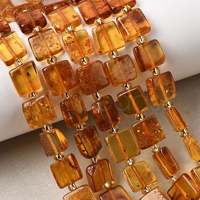 Natural Amber Beads Strands G-C260-A01-06-1