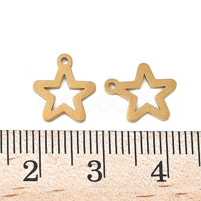 304 Stainless Steel Charms STAS-K306-06A-G-1
