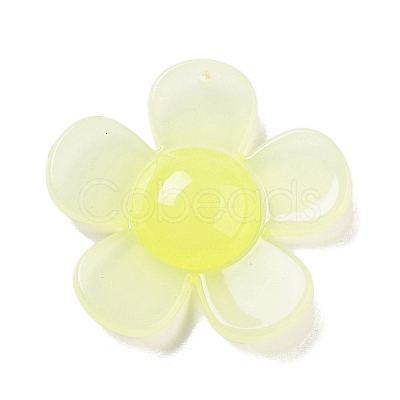Opaque Resin Pendants FIND-M035-02E-1