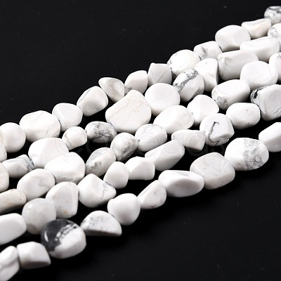 Natural Howlite Beads Strands G-G018-49-1