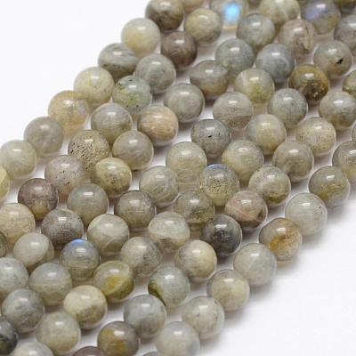 Natural Labradorite Beads Strands G-P322-33-6mm-1