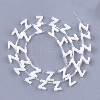 Natural Freshwater Shell Beads X-SHEL-T012-59-1