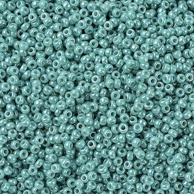 MIYUKI Round Rocailles Beads X-SEED-G007-RR0481-1