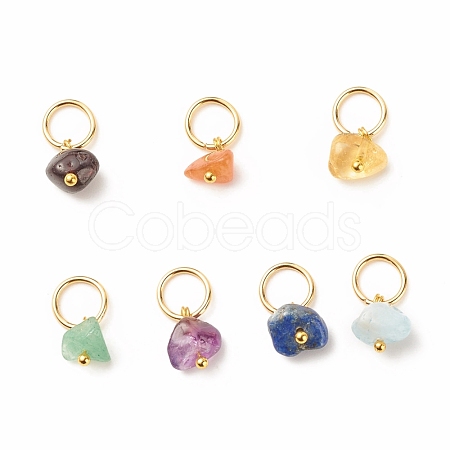 7Pcs 7 Styles Natural Stone Chip Charms PALLOY-JF01485-01-1
