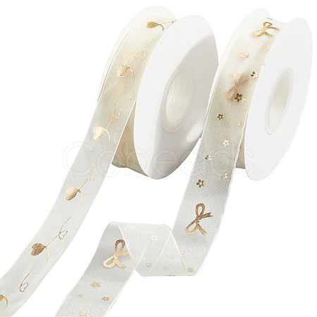 2 Rolls 2 Styles Chiffon Lace Trim for Sewing Decoration OCOR-CY0001-65A-1
