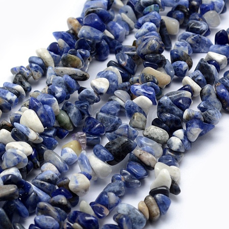 Natural Sodalite Beads Strands X-G-P332-21-1