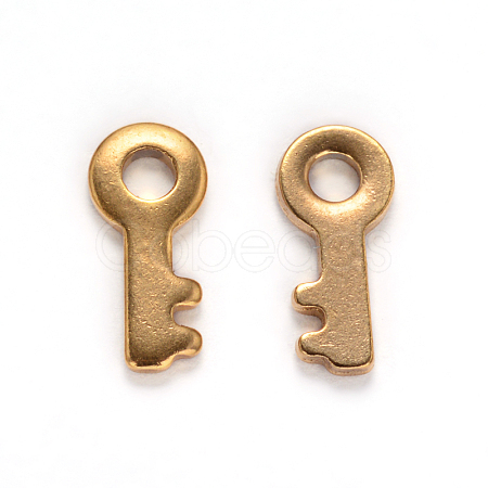 Ion Plating(IP) 304 Stainless Steel Key Charms STAS-M238-04-1