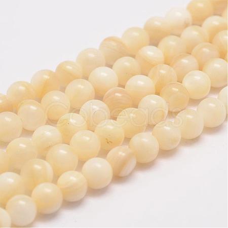 Natural Shell Bead Strands G-K153-B47-6mm-1