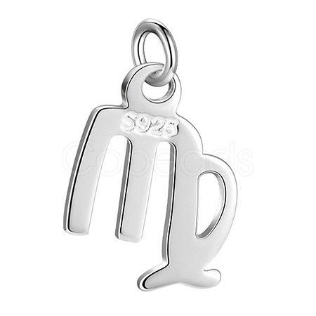 925 Sterling Silver Twelve Constellations Charms STER-WH0005-19S-08-1