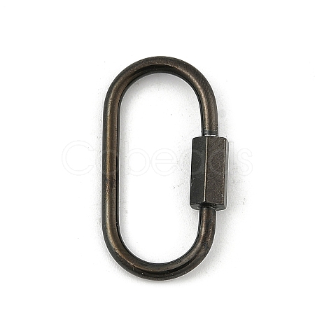 Ion Plating(IP) 304 Stainless Steel Screw Carabiner Lock Charms STAS-H107-04D-B-1