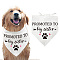 Cotton Dog's Kerchief, Triangle Pet's Bandana, Sister Theme, Word, 380x780mm