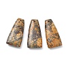 Natural Mixed Gemstone Pendants G-E596-01-2
