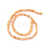 Natural Freshwater Shell Dyed Beads Strands SHEL-M018-13-08-2
