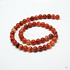 Natural Red Agate Bead Strands G-G880-05-10mm-3