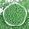 Baking Paint Glass Seed Beads X1-SEED-K010-A27-3
