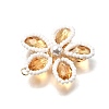 Glass Pendants PALLOY-TA00313-04-4